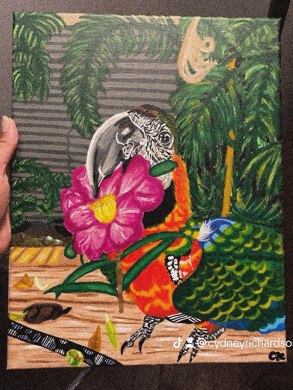 Macaw